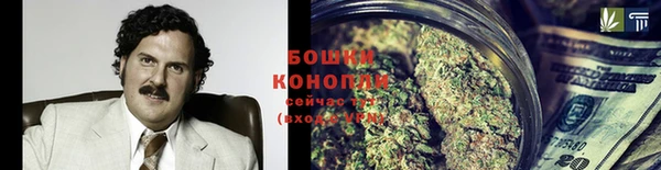 дурь Козловка