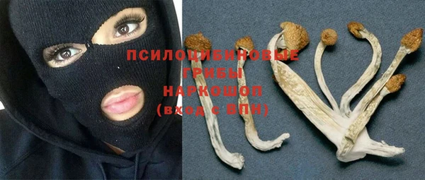 дурь Козловка