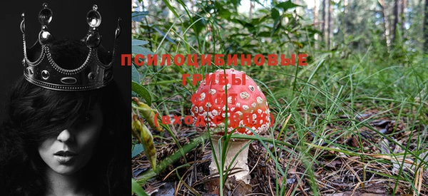 дурь Козловка