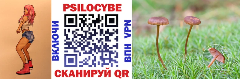 Купить  Верхоянск  Галлюциногенные грибы Cubensis 